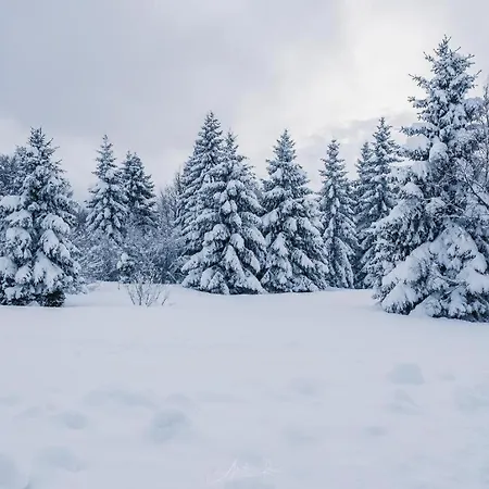 Kuca Za Odmor La Vi *